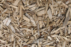 biomass boilers Dolgoch