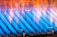 Dolgoch gas fired boilers